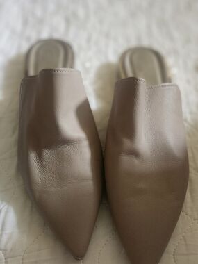 Agl Pointed-Toe Slip-On Mules in Taupe Brown